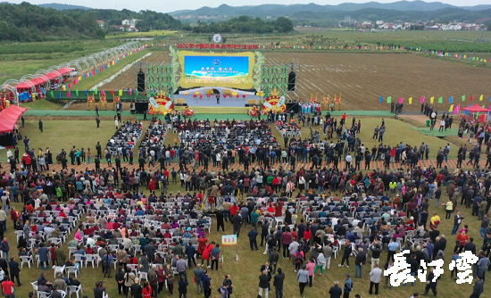 9月21日,咸寧市咸安區(qū)高橋蘿卜小鎮(zhèn)百畝草地上舉行了“慶豐收·迎小康”第三屆中國(guó)農(nóng)民豐收節(jié)湖北分會(huì)場(chǎng)咸寧主會(huì)場(chǎng)慶?;顒?dòng),全市各界農(nóng)民代表相聚白水畈的美麗田野,分享豐收的喜悅,慶祝屬于自己的節(jié)日。 開幕式上舉行了精彩的文藝演出,演出在舞蹈《慶豐收》中拉開序幕,歌舞《錦繡小康》呈現(xiàn)出咸寧各地欣欣向榮、脫貧致富奔小康的幸福場(chǎng)景。網(wǎng)紅歌曲《你莫走》、舞蹈《慶豐收》、歌舞《一起幸福》,一個(gè)個(gè)精彩的節(jié)目輪番上演,博得現(xiàn)場(chǎng)觀眾陣陣掌聲。 開幕活動(dòng)現(xiàn)場(chǎng)還舉行了頒獎(jiǎng)儀式,第二屆“美麗中國(guó)、鄉(xiāng)村振興”全國(guó)農(nóng)民詩歌邀請(qǐng)賽獲獎(jiǎng)組織和個(gè)人,全市農(nóng)村人居環(huán)境整治示范村,省級(jí)農(nóng)業(yè)產(chǎn)業(yè)化工作先進(jìn)集體和先進(jìn)個(gè)人上臺(tái)領(lǐng)獎(jiǎng)?,F(xiàn)場(chǎng)還舉行了鄂南民俗展演、農(nóng)民趣味運(yùn)動(dòng)會(huì)、扶貧農(nóng)產(chǎn)品以及咸寧特色農(nóng)產(chǎn)品展銷等豐富多彩的活動(dòng)。火爆的人氣,讓在場(chǎng)的展銷商賺得是盆滿缽滿。 咸寧市咸安區(qū)鑫達(dá)種養(yǎng)專業(yè)合作社理事長(zhǎng)萬永輝:今年家里的香菇都豐收了,一上午我就賣出了一萬多元,我們合作社采取的是“合作社+農(nóng)戶”的模式,也帶領(lǐng)了20多戶貧困戶脫貧了。 咸寧市致遠(yuǎn)種植專業(yè)合作社理事長(zhǎng) 吳海兵:我們今年是真真正正地豐收了,我們生姜的價(jià)格足足翻了三倍,跟著我們一起的貧困戶也平均增收了3000元左右。 而這一系列的活動(dòng),都是在蘿卜小鎮(zhèn)的草地上進(jìn)行的,草地作舞臺(tái)、草地搞展示、草地上比賽等等,這數(shù)百畝草地,此時(shí)此刻成為了咸寧農(nóng)民們慶祝豐收的歡樂場(chǎng)。 咸寧市咸安區(qū)高橋鎮(zhèn)黨委書記王順榮:今年的湖北分會(huì)場(chǎng)在我們高橋蘿卜小鎮(zhèn)舉辦,我感到很榮幸,我們從一顆蘿卜做起,以白水畈蘿卜為核心品牌,打造白水畈"我家菜園"蔬菜基地及旅游觀光體驗(yàn)中心,發(fā)展綠色農(nóng)業(yè)、生態(tài)旅游,增加產(chǎn)業(yè)開發(fā)的綜合效益,創(chuàng)建蘿卜特色小鎮(zhèn),走出了一條農(nóng)業(yè)、旅游相結(jié)合的新路,推動(dòng)高橋鎮(zhèn)一二三產(chǎn)業(yè)融合發(fā)展。 鄉(xiāng)親們說,這在以前是想都不敢想的,高橋鎮(zhèn)蝸居山里,太偏遠(yuǎn)又沒有資源優(yōu)勢(shì),想發(fā)展太難。而現(xiàn)在這一切的悄然改變,得益于2017年10月13日,咸安區(qū)政府與鄂旅投公司正式簽署的《131軍旅小鎮(zhèn)+白水畈田園綜合體旅游開發(fā)投資合作協(xié)議》,鄂旅投公司將投資30億元,在高橋鎮(zhèn)打造131軍旅小鎮(zhèn)和白水畈田園綜合體旅游開發(fā)項(xiàng)目。項(xiàng)目共分為131軍旅小鎮(zhèn)、白水畈美麗鄉(xiāng)村、特色農(nóng)業(yè)示范、旅游綜合體四大板塊,打造旅游綜合服務(wù)區(qū)、澄水洞軍事展示區(qū)、青少年國(guó)防教育基地、鐵血軍事樂園區(qū)、戰(zhàn)狼訓(xùn)練基地、美麗村灣民俗區(qū)、四季瓜果示范區(qū)、農(nóng)耕文化展示區(qū)、特色商業(yè)街區(qū)和康養(yǎng)度假區(qū)十大功能區(qū)。 咸寧市咸安區(qū)高橋鎮(zhèn)黨委書記王順榮:我們引進(jìn)鄂旅投,打造蘿卜小鎮(zhèn),目前建設(shè)有蘿卜小鎮(zhèn)科普館、蘿卜鄉(xiāng)學(xué)院、蘿卜酒店等休閑旅游項(xiàng)目,十一馬上到了,也歡迎廣大游客前來游玩。 今年是決勝全面建成小康社會(huì)、決戰(zhàn)脫貧攻堅(jiān)之年。咸寧市本著"儉樸、祥和、歡樂,農(nóng)民參與,農(nóng)民唱主角"的辦節(jié)思路,而此屆中國(guó)農(nóng)民豐收節(jié)辦節(jié)費(fèi)用也是倍減。 農(nóng)為邦本,本固邦寧。今年,面對(duì)重大疫情和特大洪澇災(zāi)害,咸寧市扎實(shí)做好“六穩(wěn)”工作、落實(shí)“六?!比蝿?wù),克服重重困難,推動(dòng)農(nóng)業(yè)實(shí)現(xiàn)持續(xù)平穩(wěn)發(fā)展,形成了茶葉、油茶、中藥材等12個(gè)特色農(nóng)業(yè)主導(dǎo)產(chǎn)業(yè),“全國(guó)一村一品示范村鎮(zhèn)”發(fā)展到14家,國(guó)家級(jí)、省級(jí)農(nóng)業(yè)產(chǎn)業(yè)化龍頭企業(yè)達(dá)到55家。尤其是糧食產(chǎn)量預(yù)計(jì)達(dá)118萬噸、蔬菜產(chǎn)量預(yù)計(jì)達(dá)260萬噸,生豬預(yù)計(jì)出欄183.52萬頭,農(nóng)業(yè)生產(chǎn)再獲豐收,糧食安全有效保障,讓農(nóng)民的腰包更鼓、家園更美、生活更甜,為加快實(shí)施鄉(xiāng)村振興戰(zhàn)略、推動(dòng)咸寧高質(zhì)量發(fā)展提供堅(jiān)實(shí)保障。